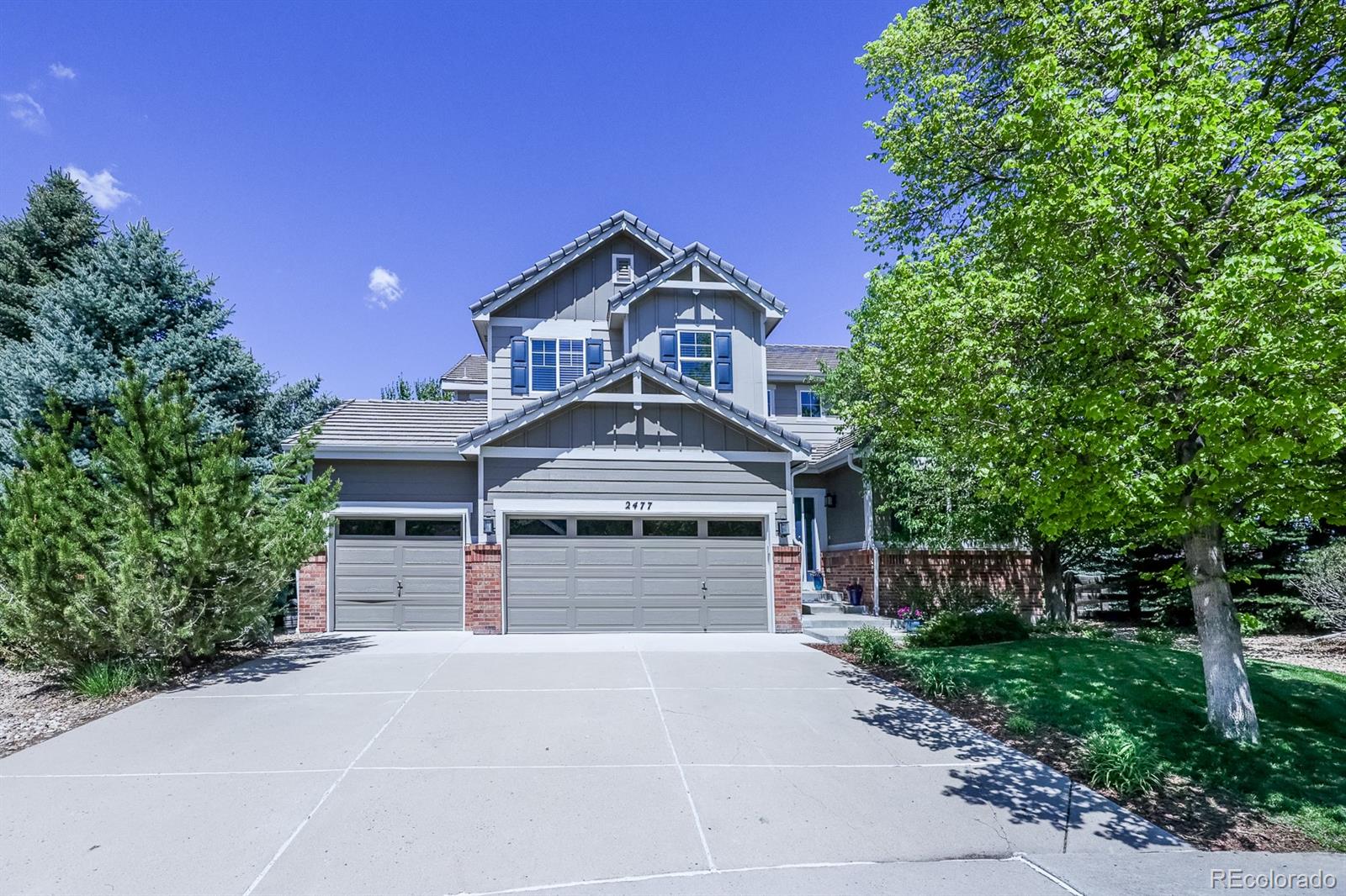 MLS Image #1 for 2477  bellavista street,castle rock, Colorado