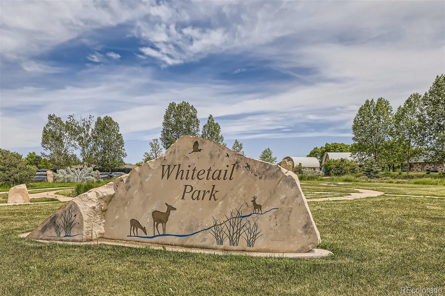 MLS Image #23 for 2869  whitetail circle,lafayette, Colorado
