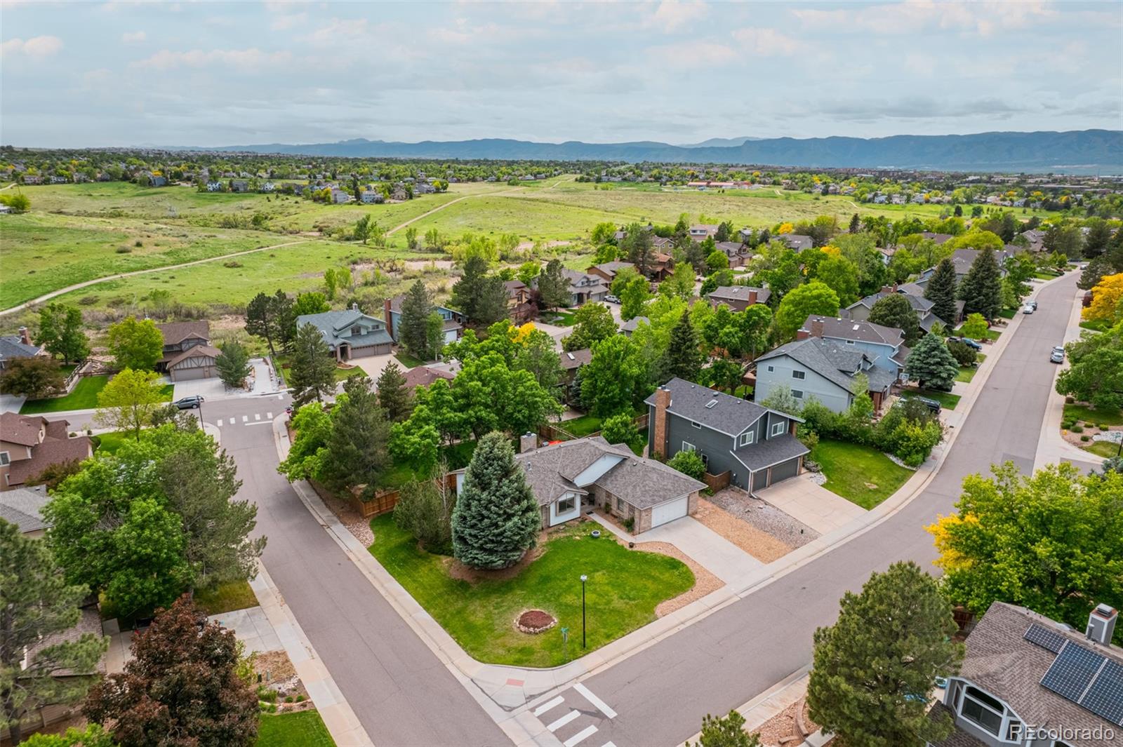 MLS Image #30 for 1062  quail place,highlands ranch, Colorado