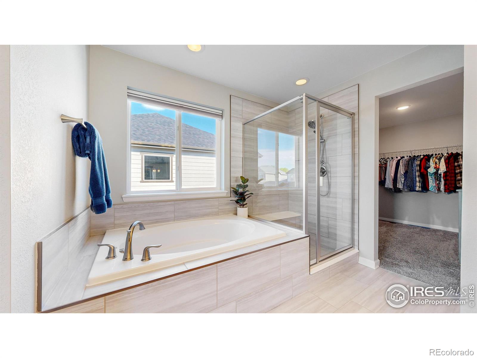 MLS Image #20 for 1611  illingworth drive,windsor, Colorado