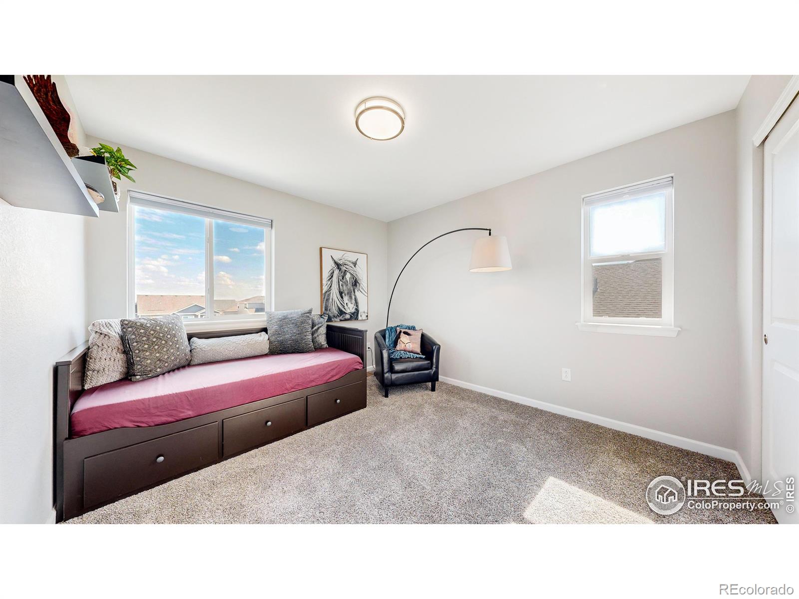 MLS Image #24 for 1611  illingworth drive,windsor, Colorado