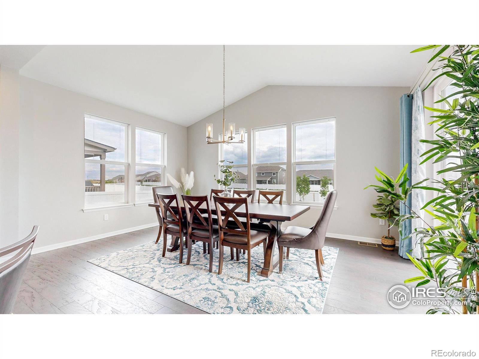 MLS Image #8 for 1611  illingworth drive,windsor, Colorado