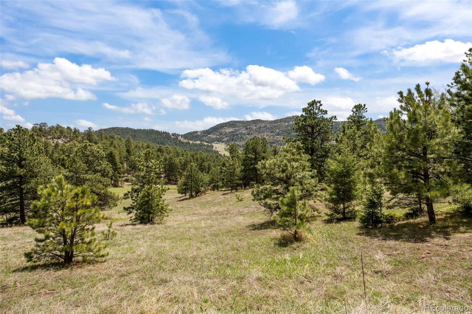 MLS Image #33 for 9046  us highway 285 ,morrison, Colorado