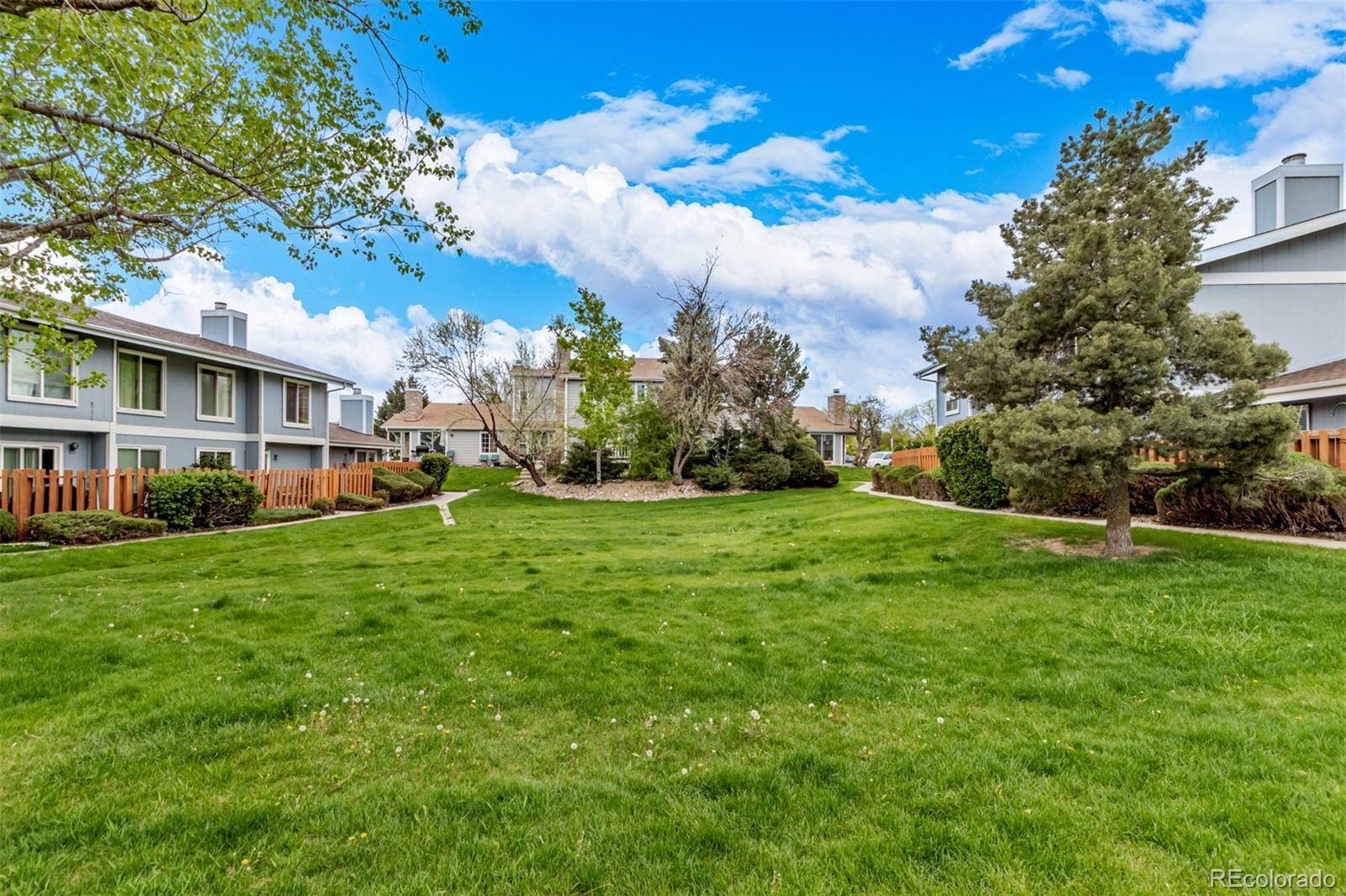 MLS Image #19 for 8485  everett way,arvada, Colorado