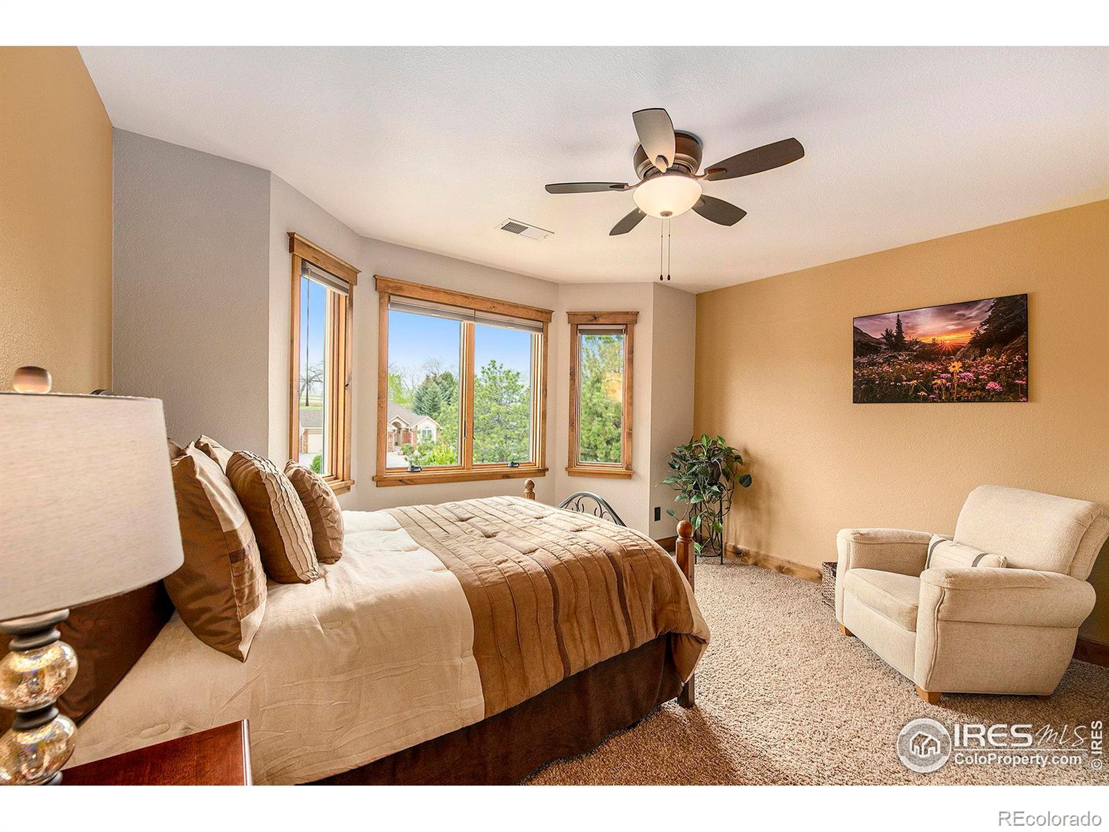 MLS Image #24 for 8228  benson court,fort collins, Colorado