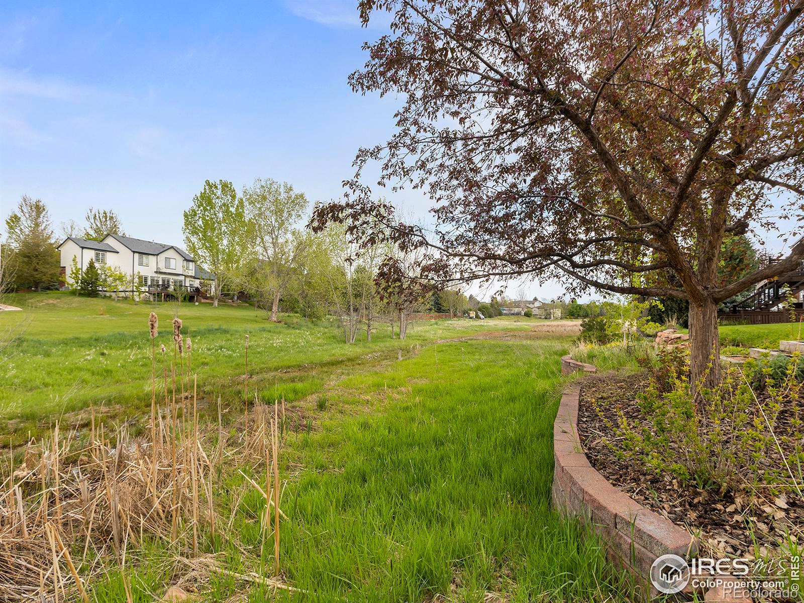 MLS Image #38 for 6242  buchanan street,fort collins, Colorado