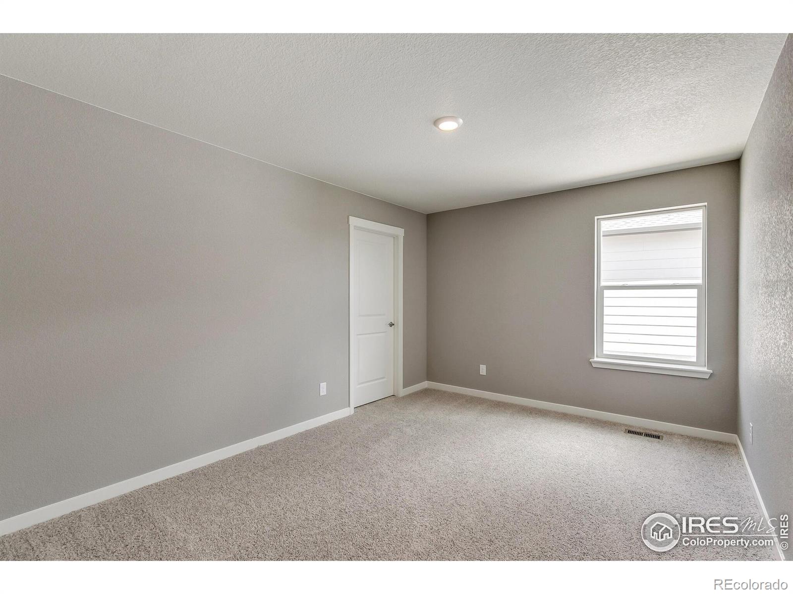 MLS Image #19 for 5951  amerifax drive,windsor, Colorado