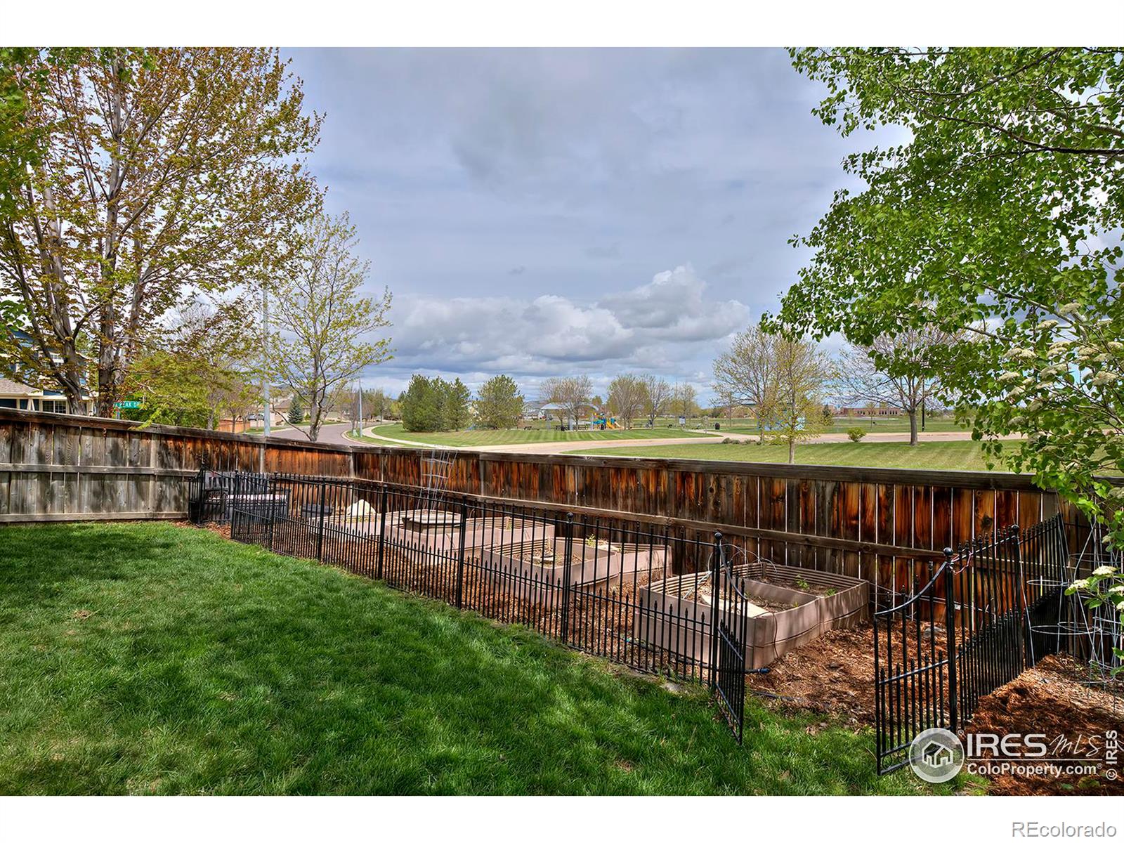 MLS Image #39 for 1602  hallet peak drive,longmont, Colorado