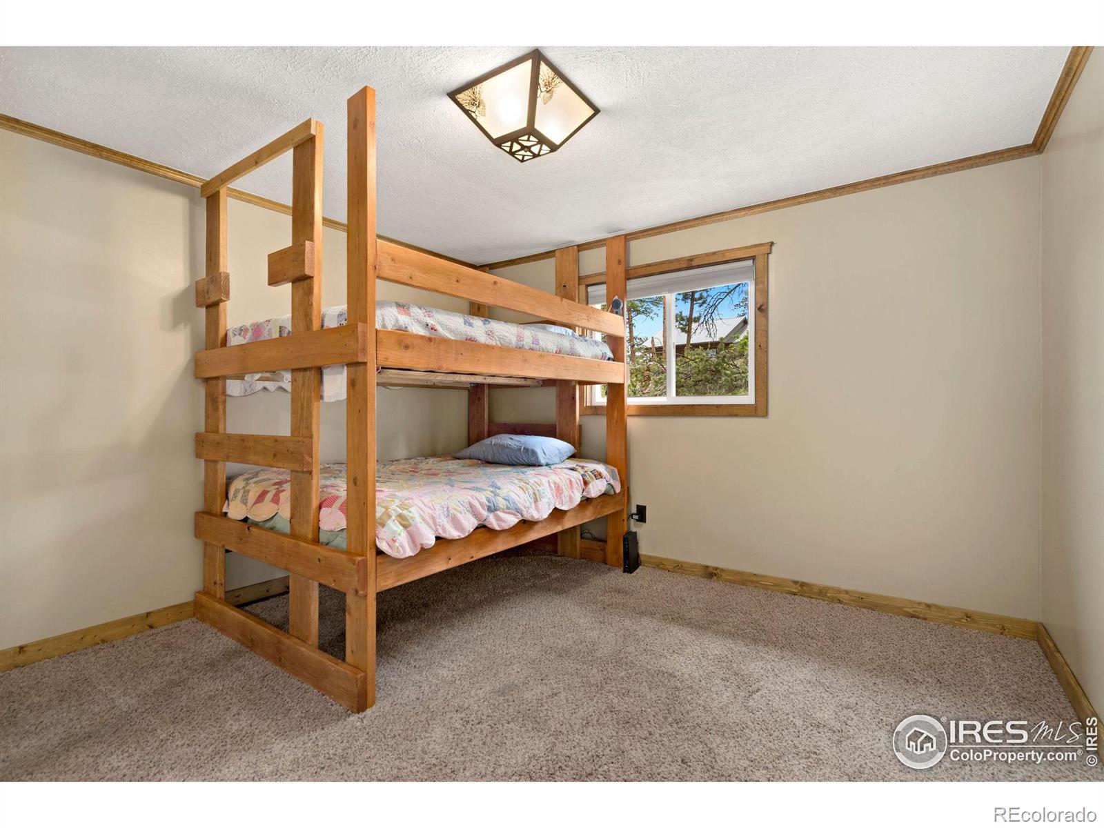 MLS Image #23 for 69  nokomis road,red feather lakes, Colorado