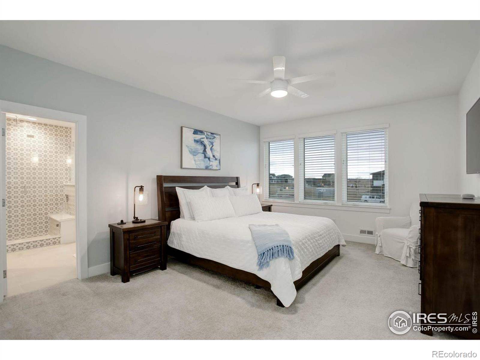 MLS Image #19 for 5610  four leaf drive,longmont, Colorado