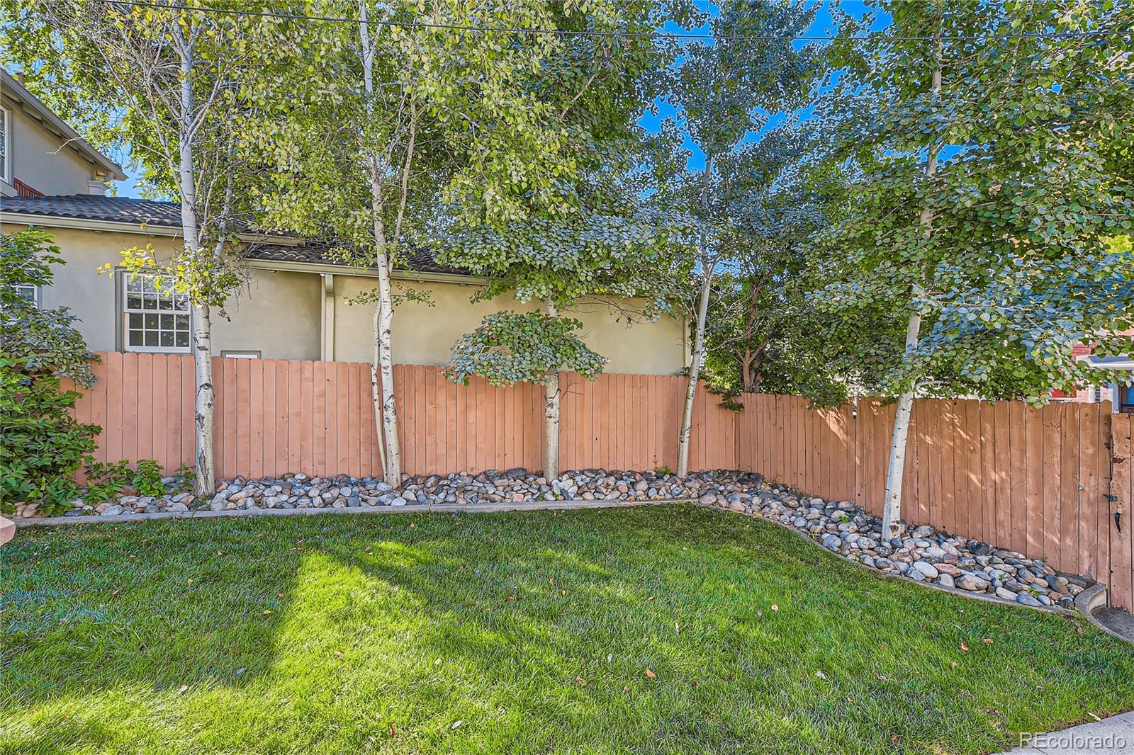 MLS Image #4 for 325 n downing street,denver, Colorado