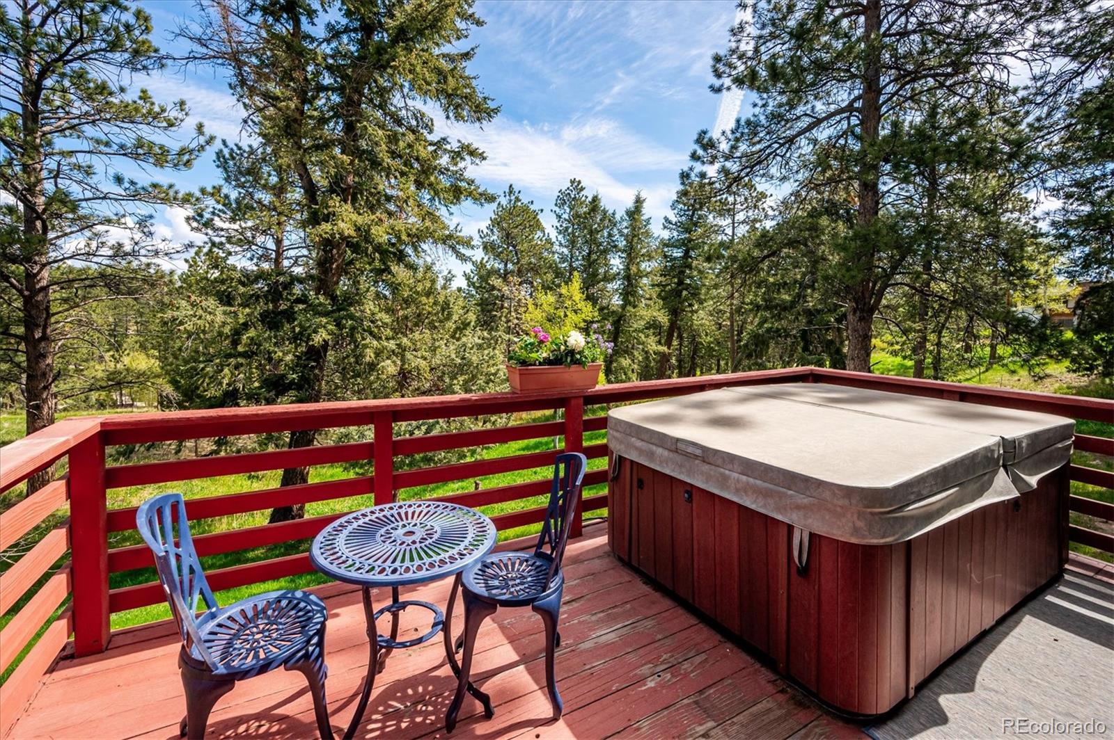 MLS Image #17 for 113  bluebird lane,bailey, Colorado