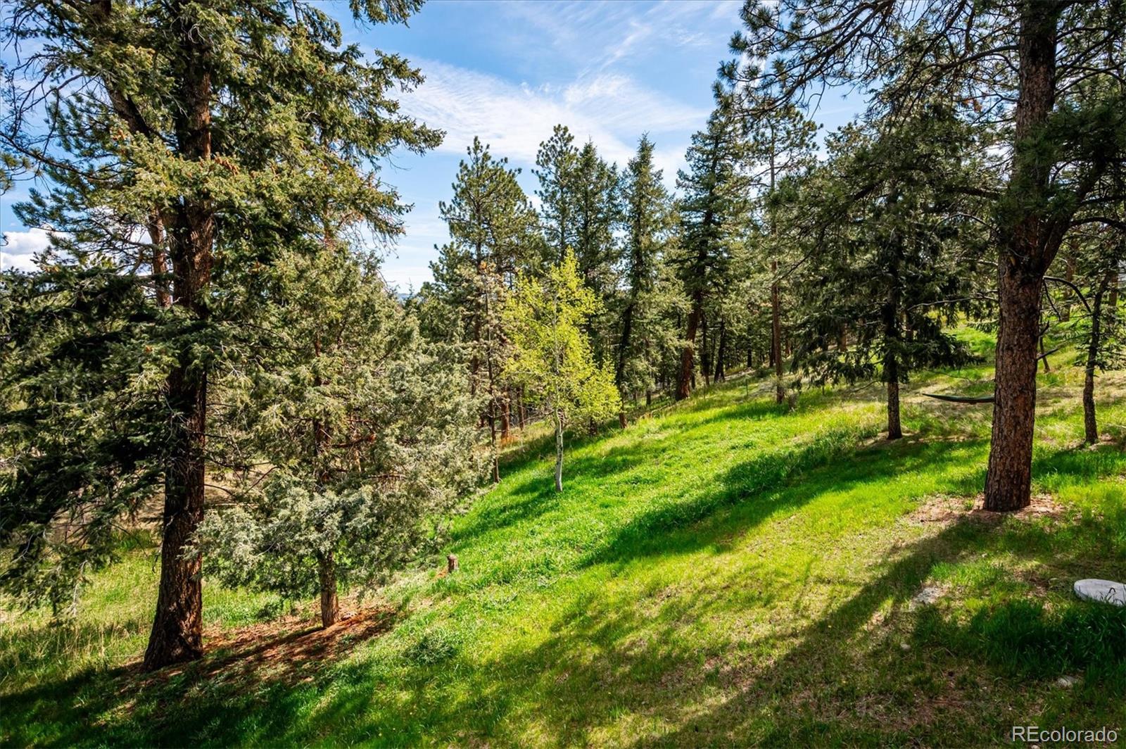 MLS Image #18 for 113  bluebird lane,bailey, Colorado