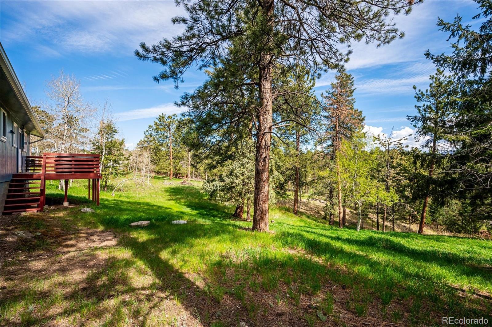 MLS Image #19 for 113  bluebird lane,bailey, Colorado