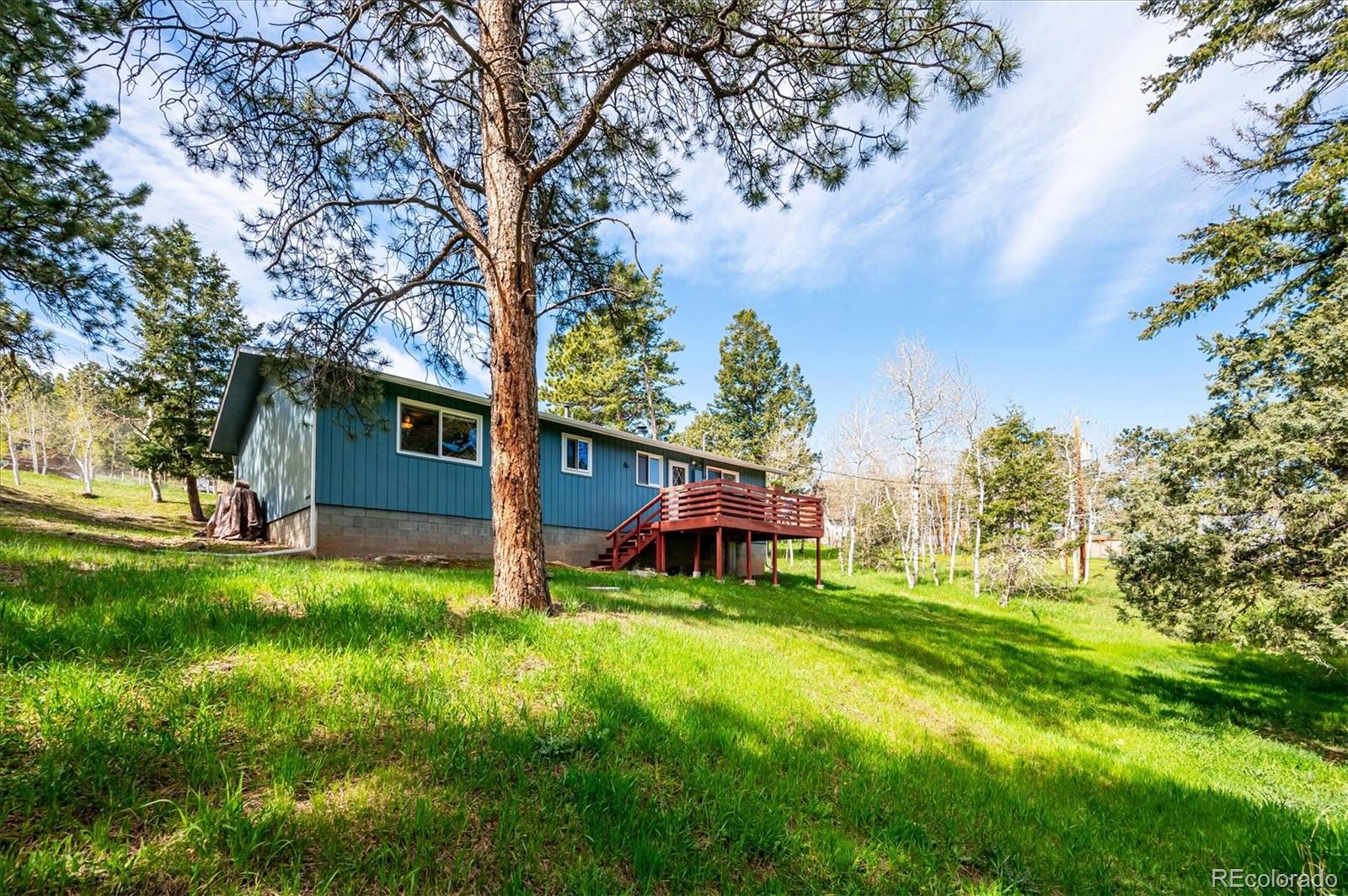 MLS Image #20 for 113  bluebird lane,bailey, Colorado