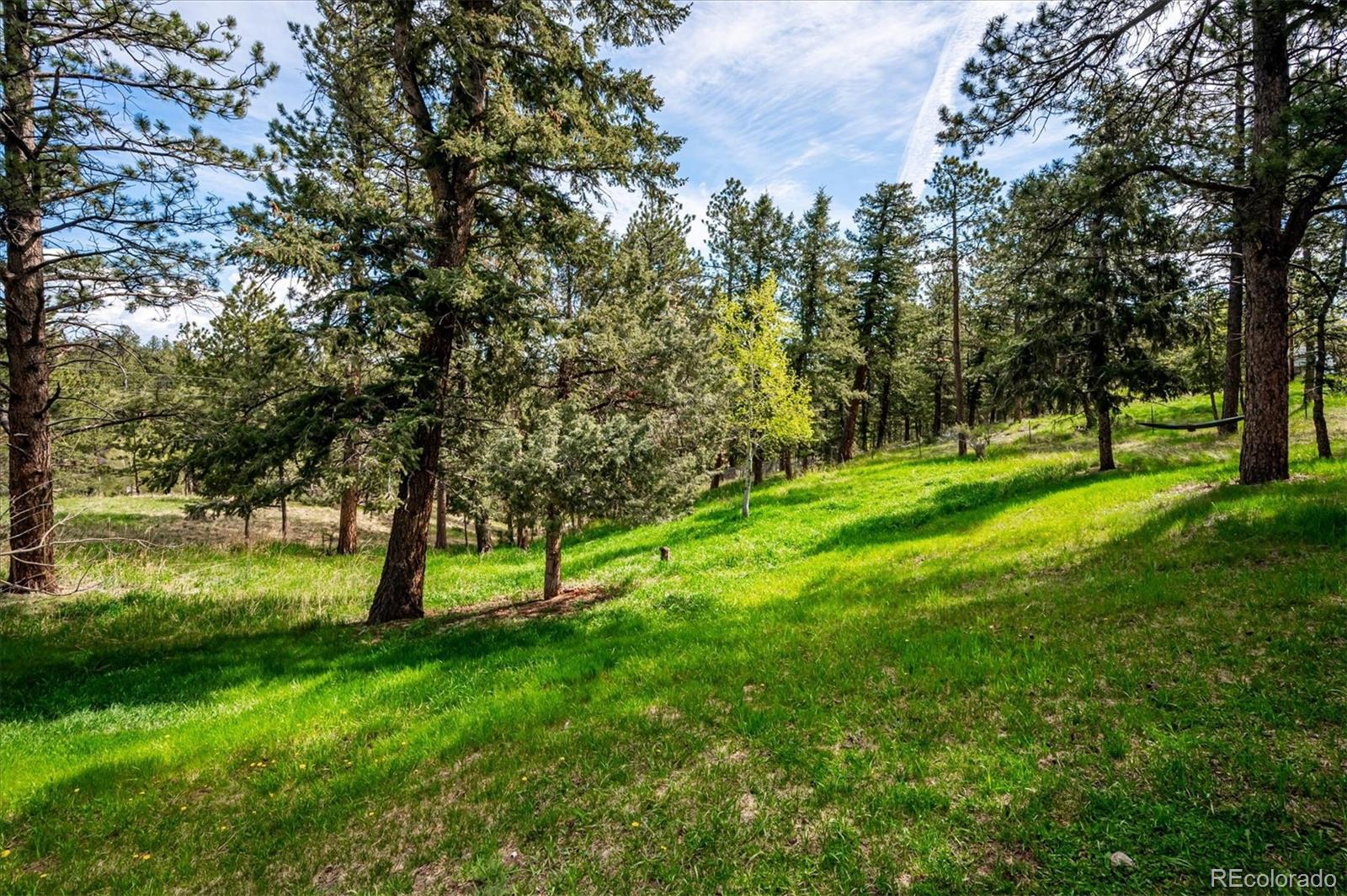 MLS Image #21 for 113  bluebird lane,bailey, Colorado