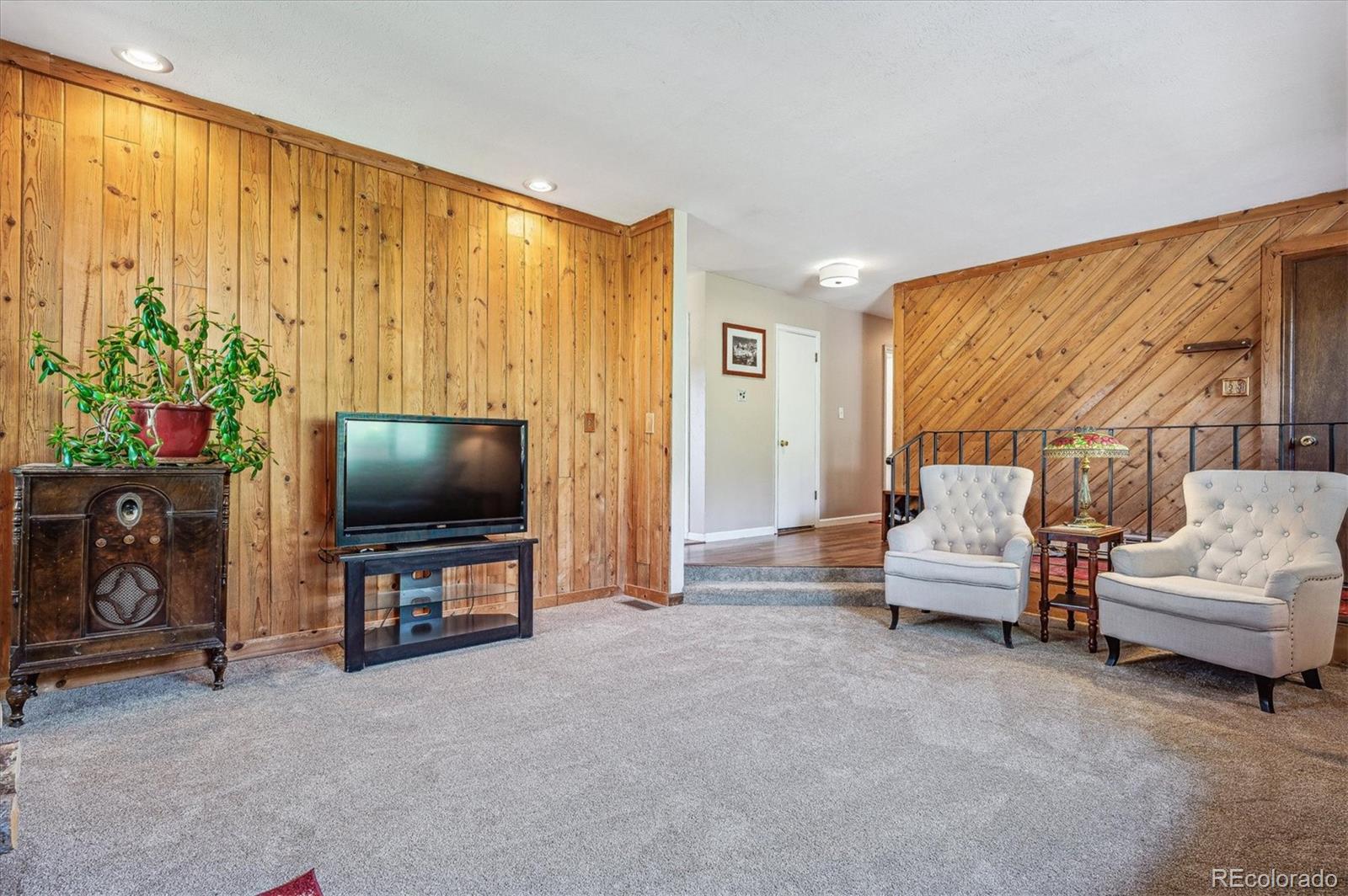 MLS Image #4 for 113  bluebird lane,bailey, Colorado