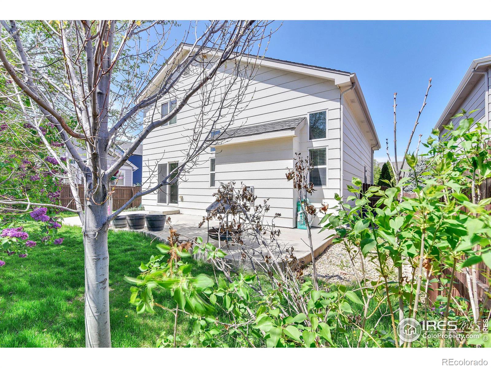 MLS Image #20 for 10405  devonshire street,firestone, Colorado