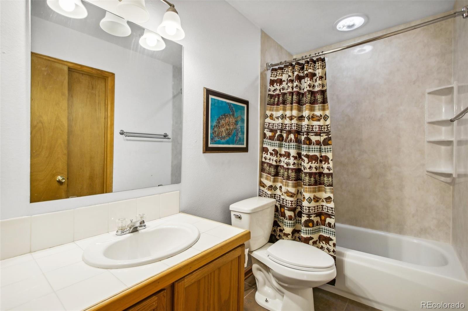 MLS Image #15 for 623  aspen drive,bailey, Colorado