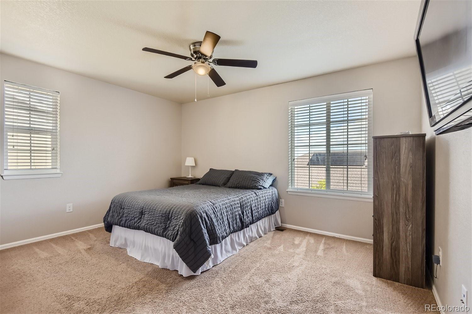 MLS Image #19 for 14653  jinan avenue,parker, Colorado