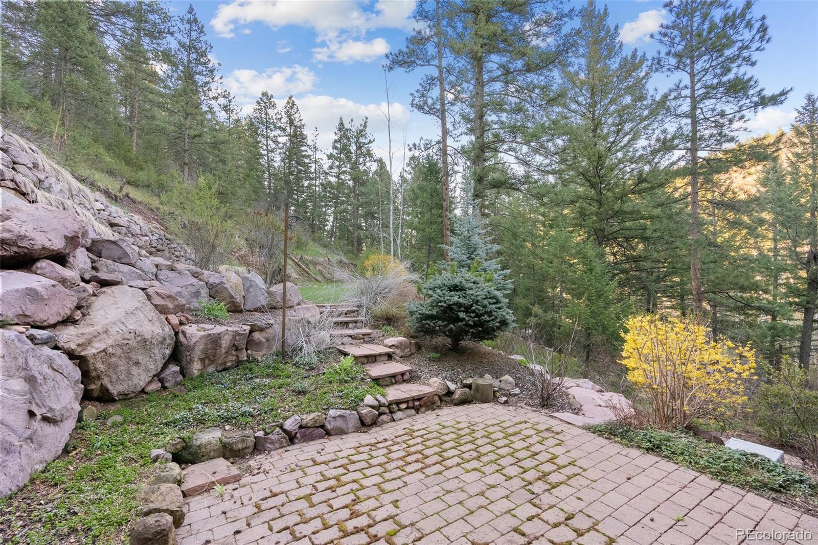 MLS Image #27 for 11823 s maxwell hill road,littleton, Colorado