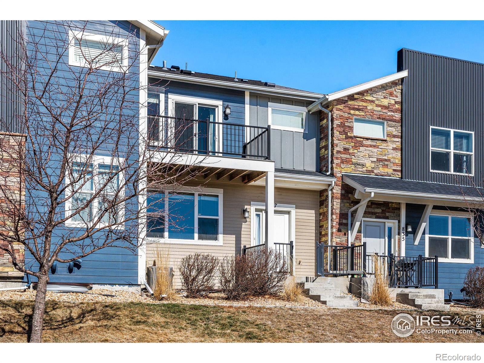 MLS Image #1 for 837  robert street,longmont, Colorado