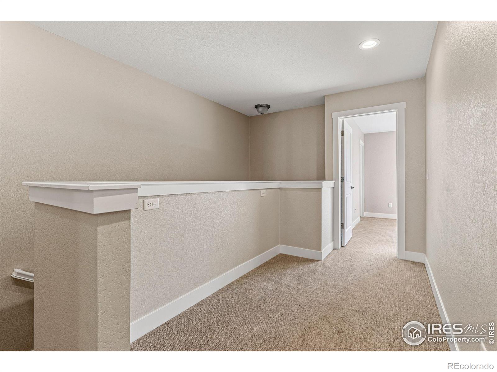 MLS Image #17 for 837  robert street,longmont, Colorado