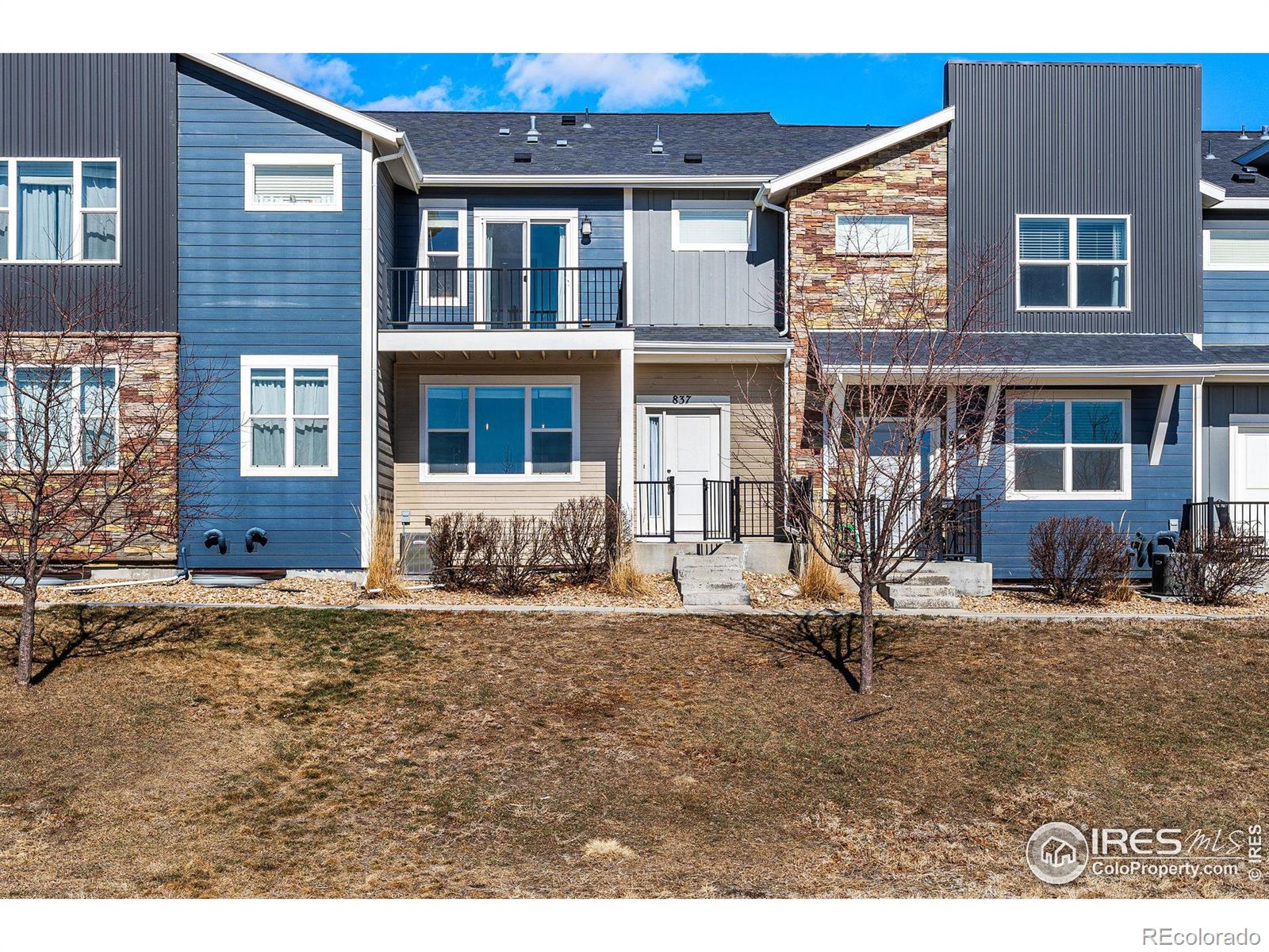 MLS Image #3 for 837  robert street,longmont, Colorado