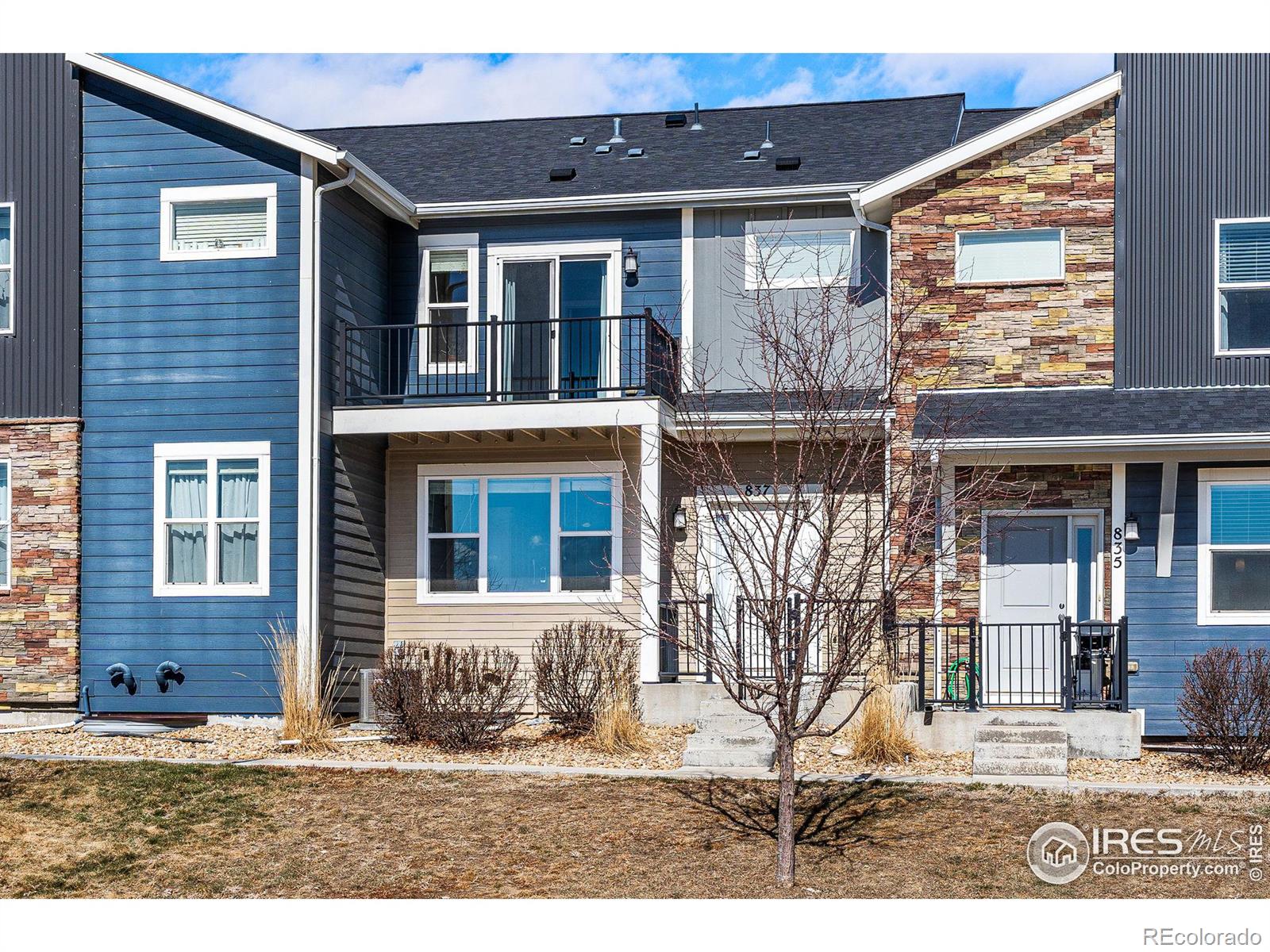 MLS Image #4 for 837  robert street,longmont, Colorado