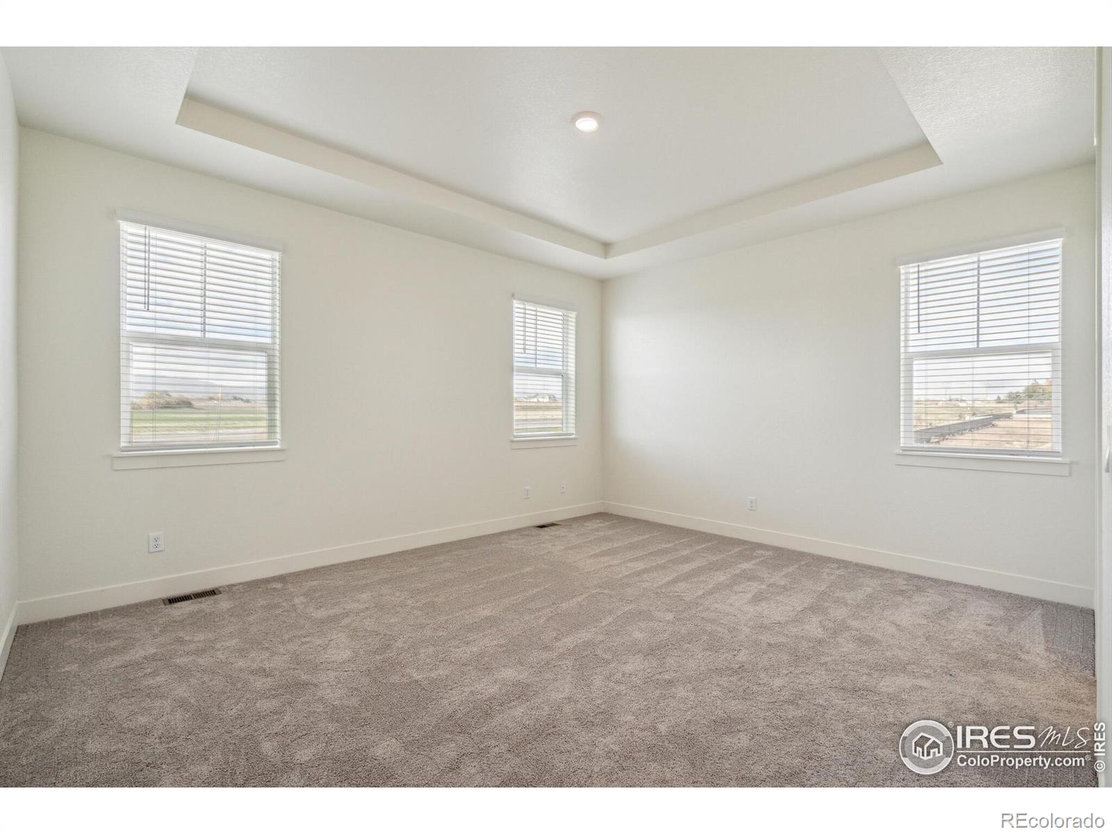 MLS Image #11 for 1066  clara view drive,berthoud, Colorado