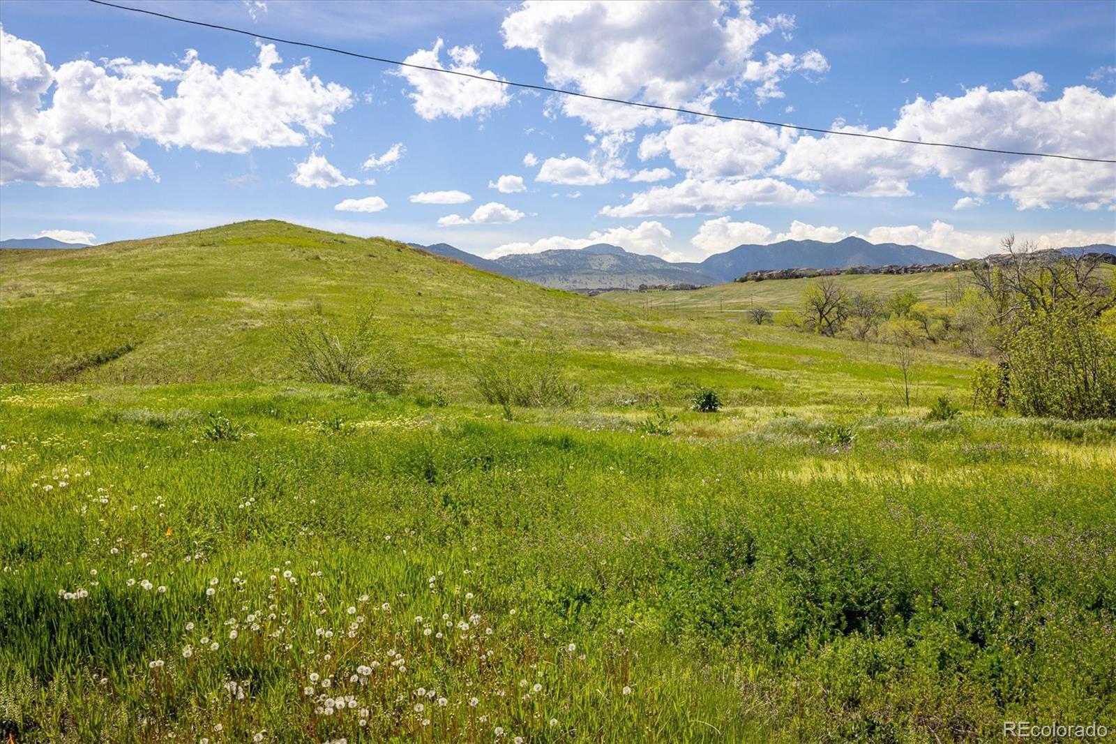 MLS Image #28 for 8081  quaker street,arvada, Colorado