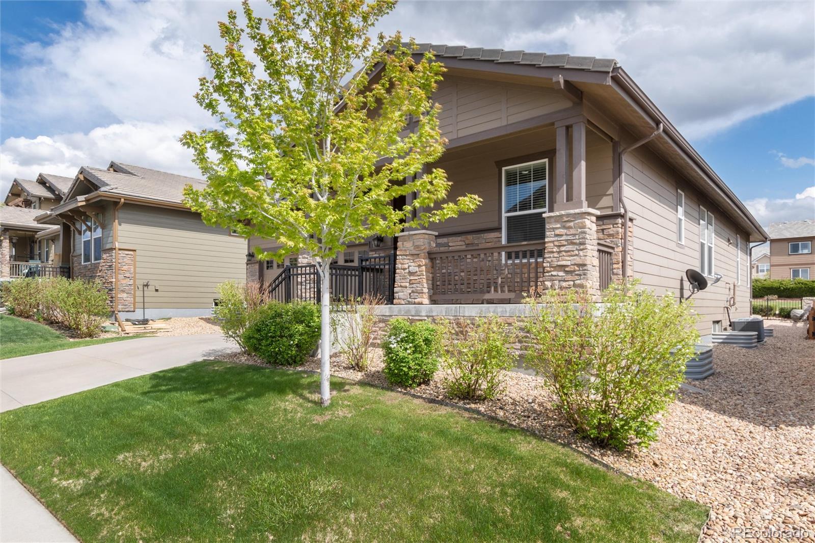 CMA Image for 10454  rutledge street,Parker, Colorado