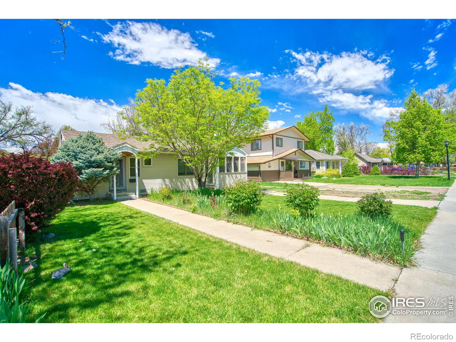 MLS Image #0 for 1015  venice street,longmont, Colorado