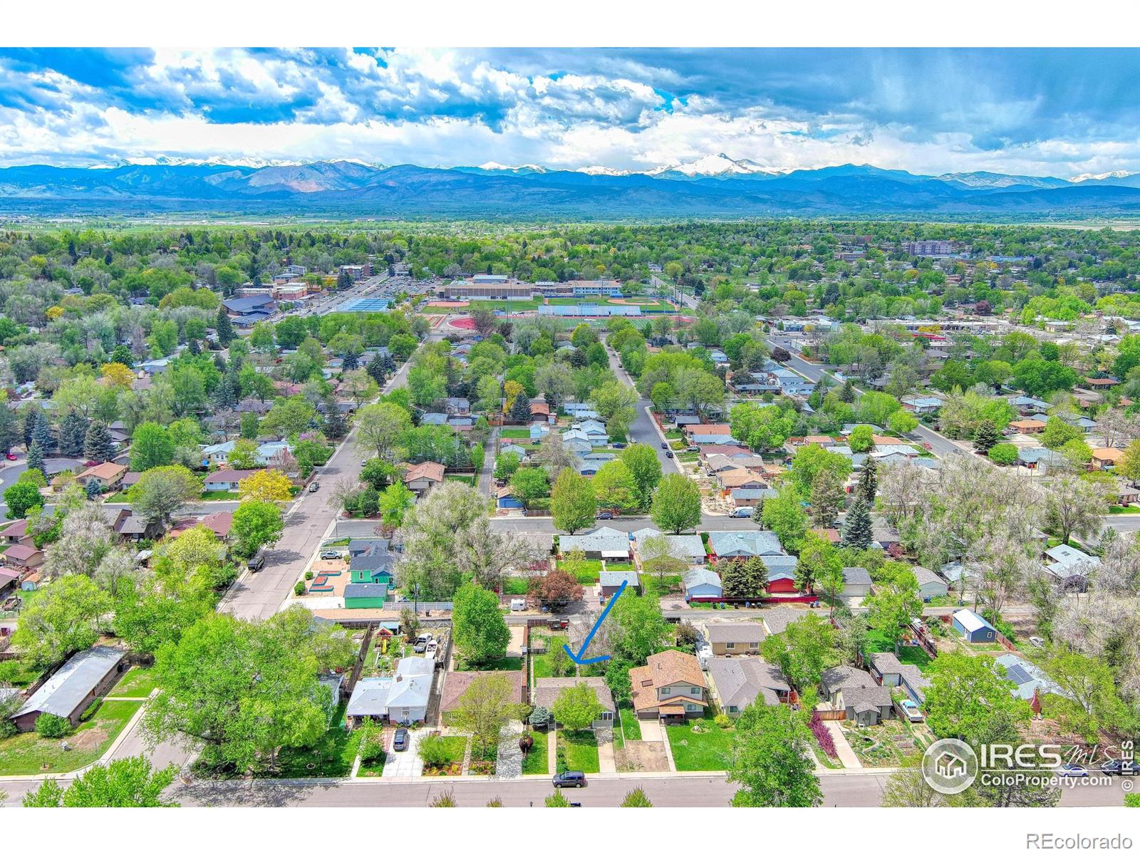 MLS Image #4 for 1015  venice street,longmont, Colorado