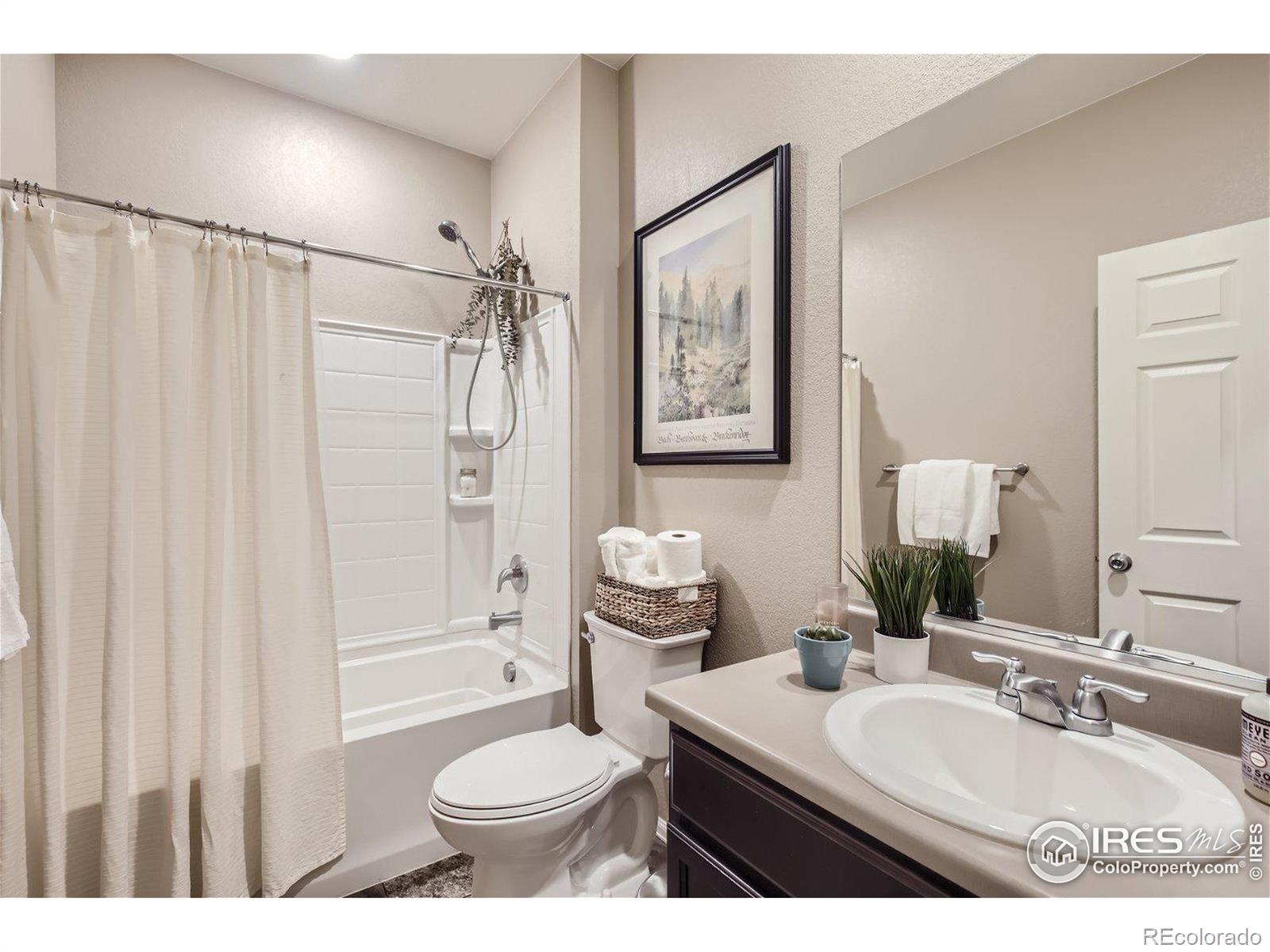 MLS Image #15 for 915  charlton drive,windsor, Colorado