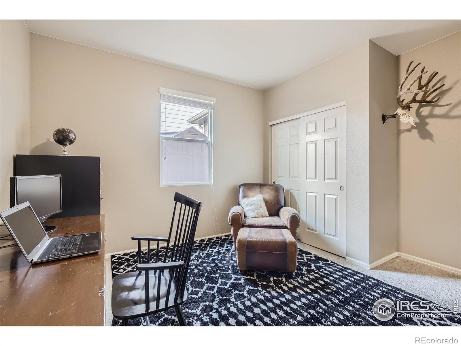 MLS Image #21 for 915  charlton drive,windsor, Colorado