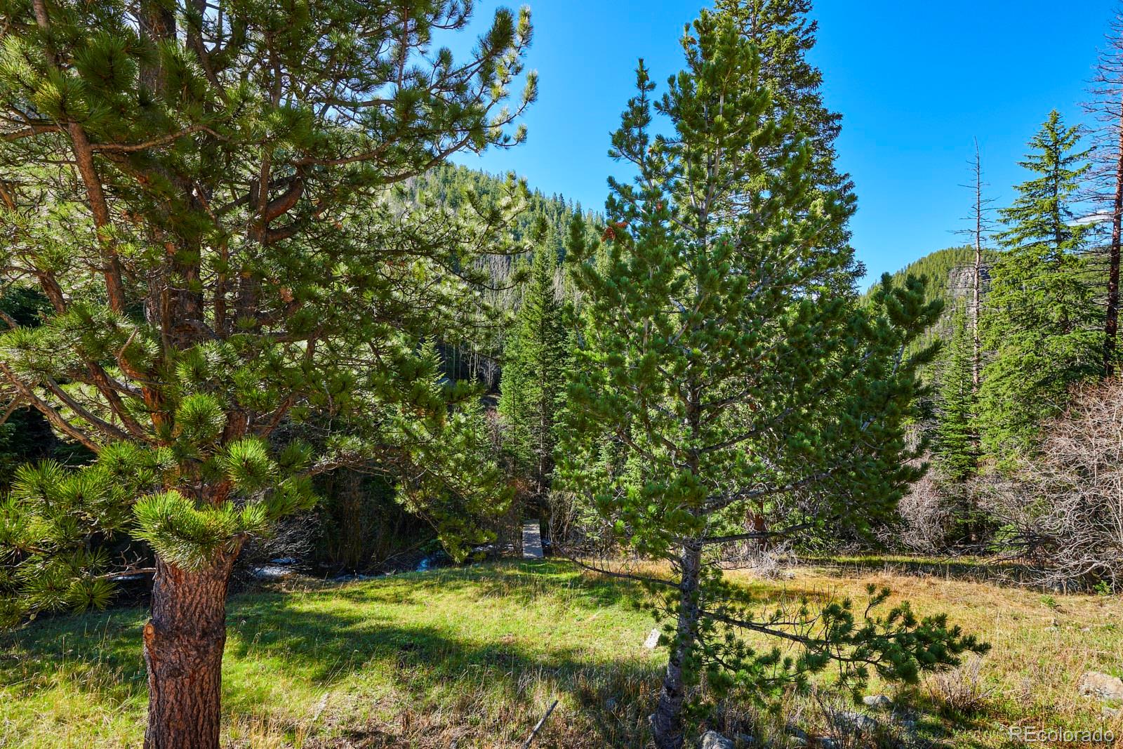 MLS Image #19 for 188  silver creek road,black hawk, Colorado