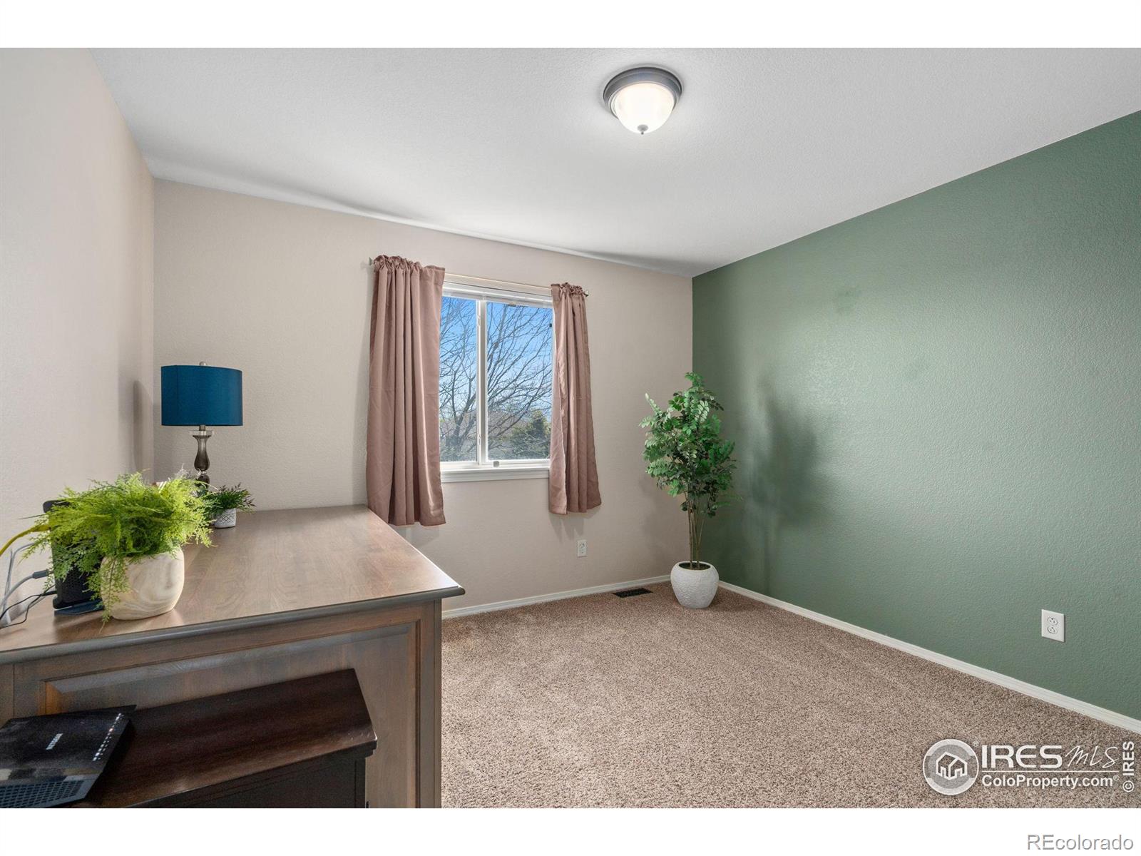 MLS Image #21 for 1233  intrepid drive,fort collins, Colorado