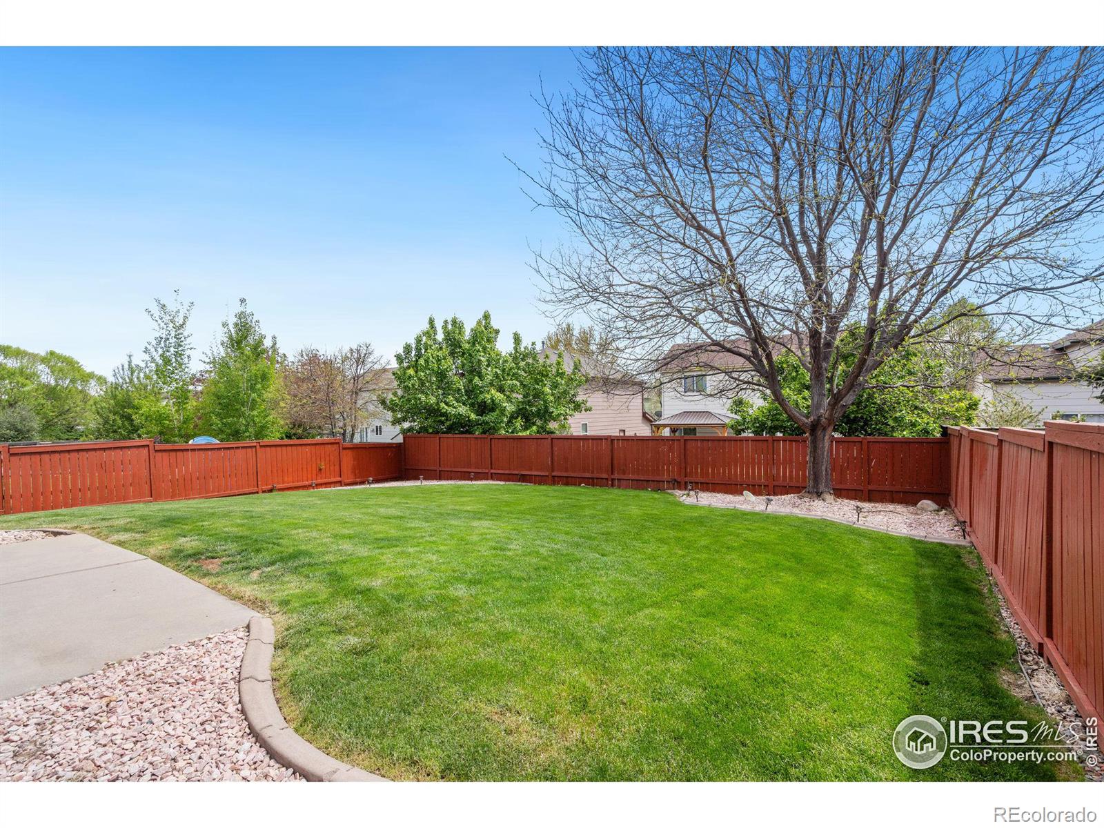 MLS Image #33 for 1233  intrepid drive,fort collins, Colorado