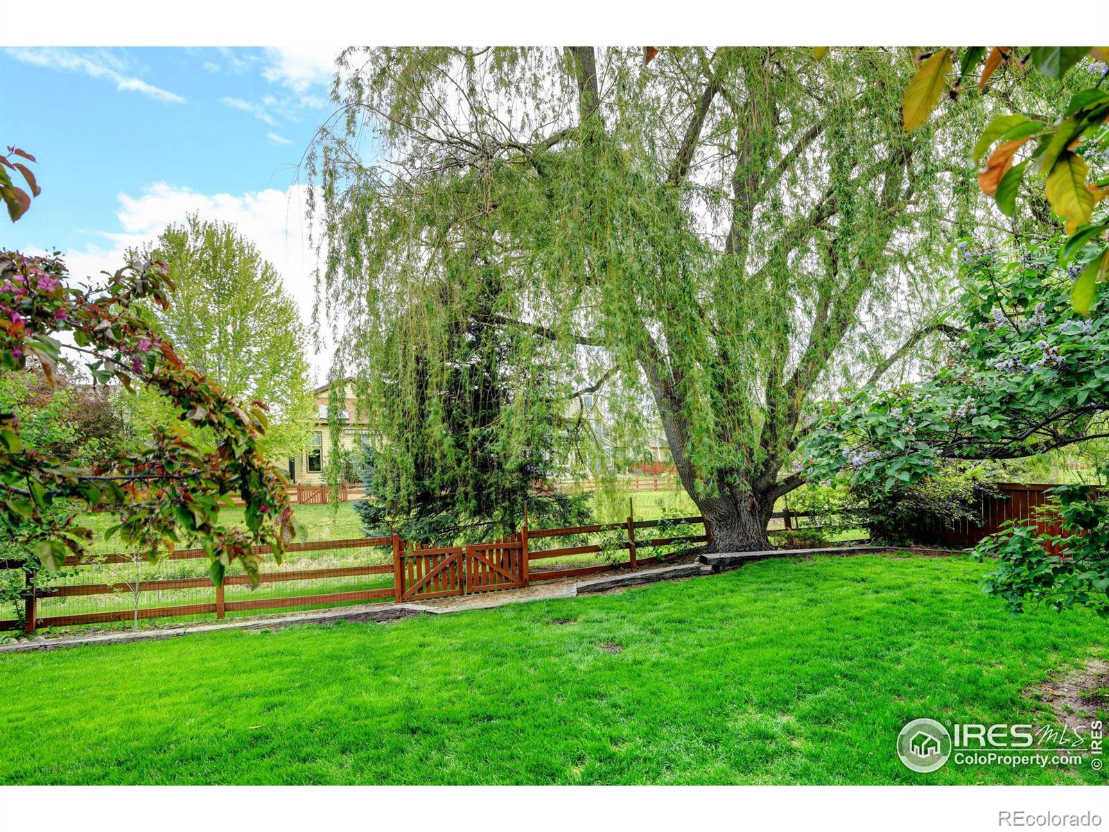 MLS Image #29 for 2132  sweetwater creek drive,fort collins, Colorado