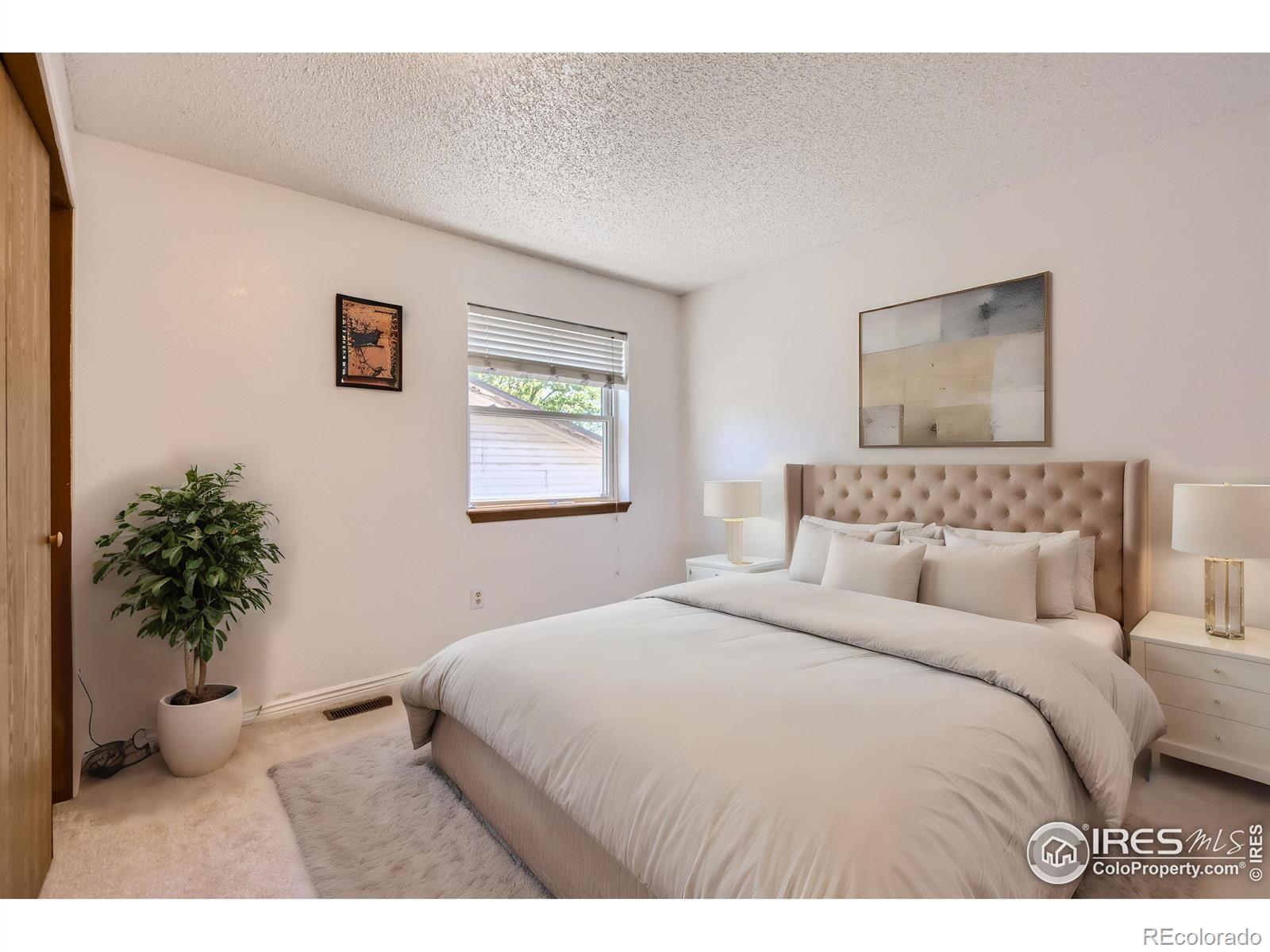 MLS Image #7 for 309  challenger place,longmont, Colorado