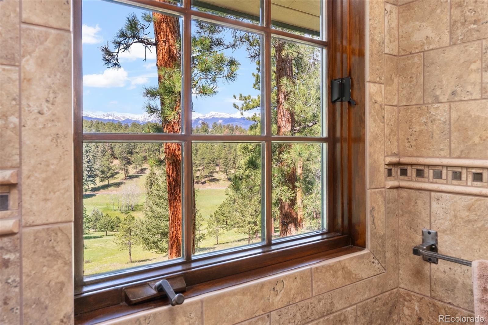 MLS Image #12 for 333  red lily place,evergreen, Colorado