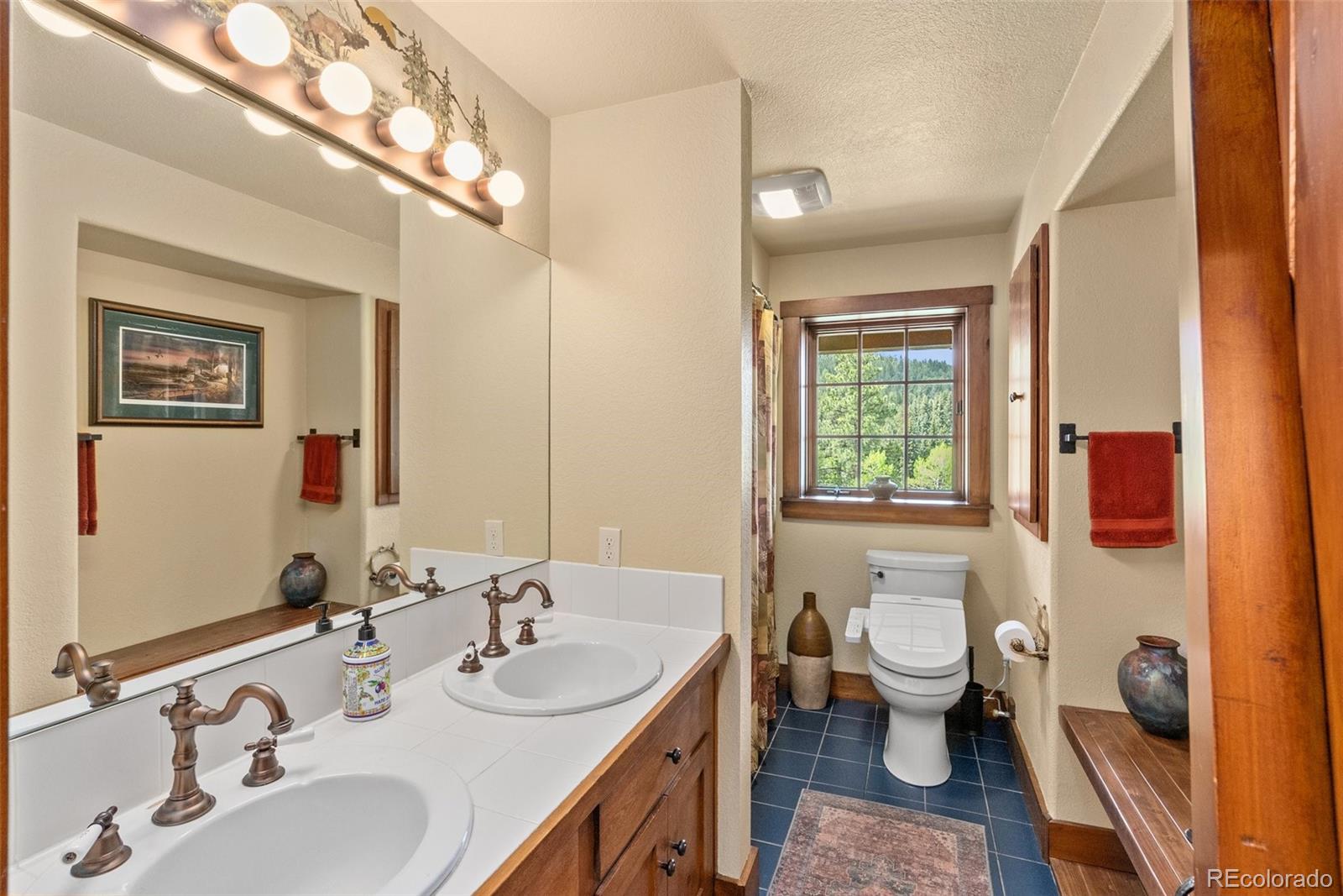 MLS Image #14 for 333  red lily place,evergreen, Colorado
