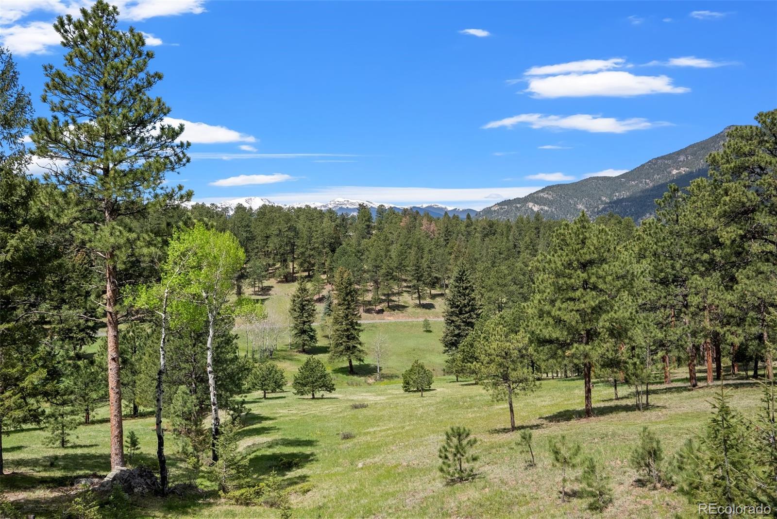 MLS Image #35 for 333  red lily place,evergreen, Colorado