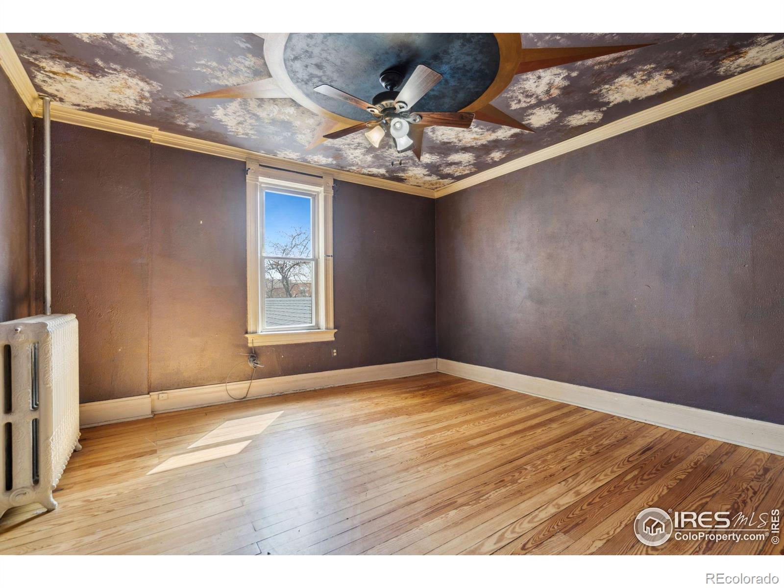 MLS Image #28 for 127  elm avenue,eaton, Colorado