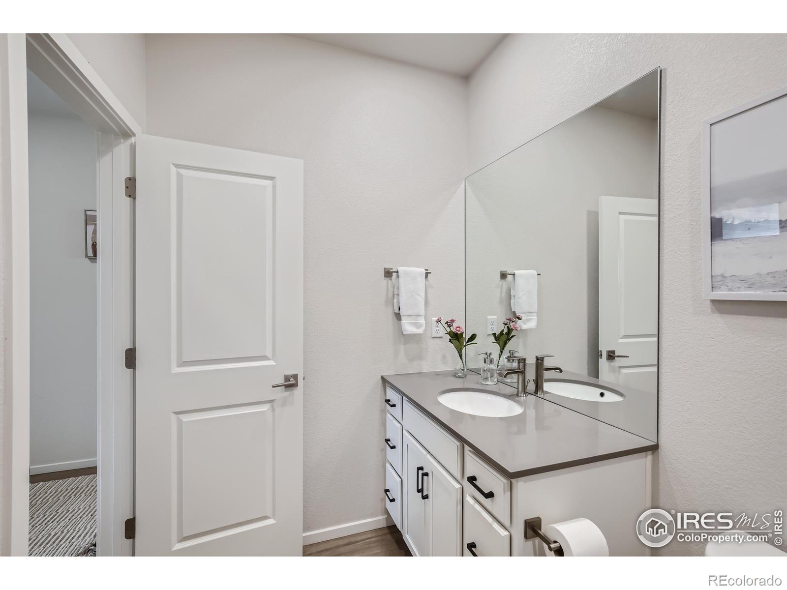 MLS Image #19 for 5690  saint lusson lane,timnath, Colorado