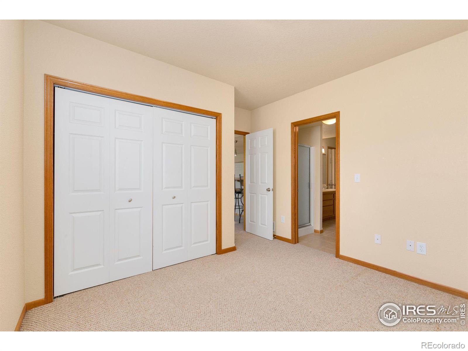 MLS Image #19 for 2135  birdie way,milliken, Colorado