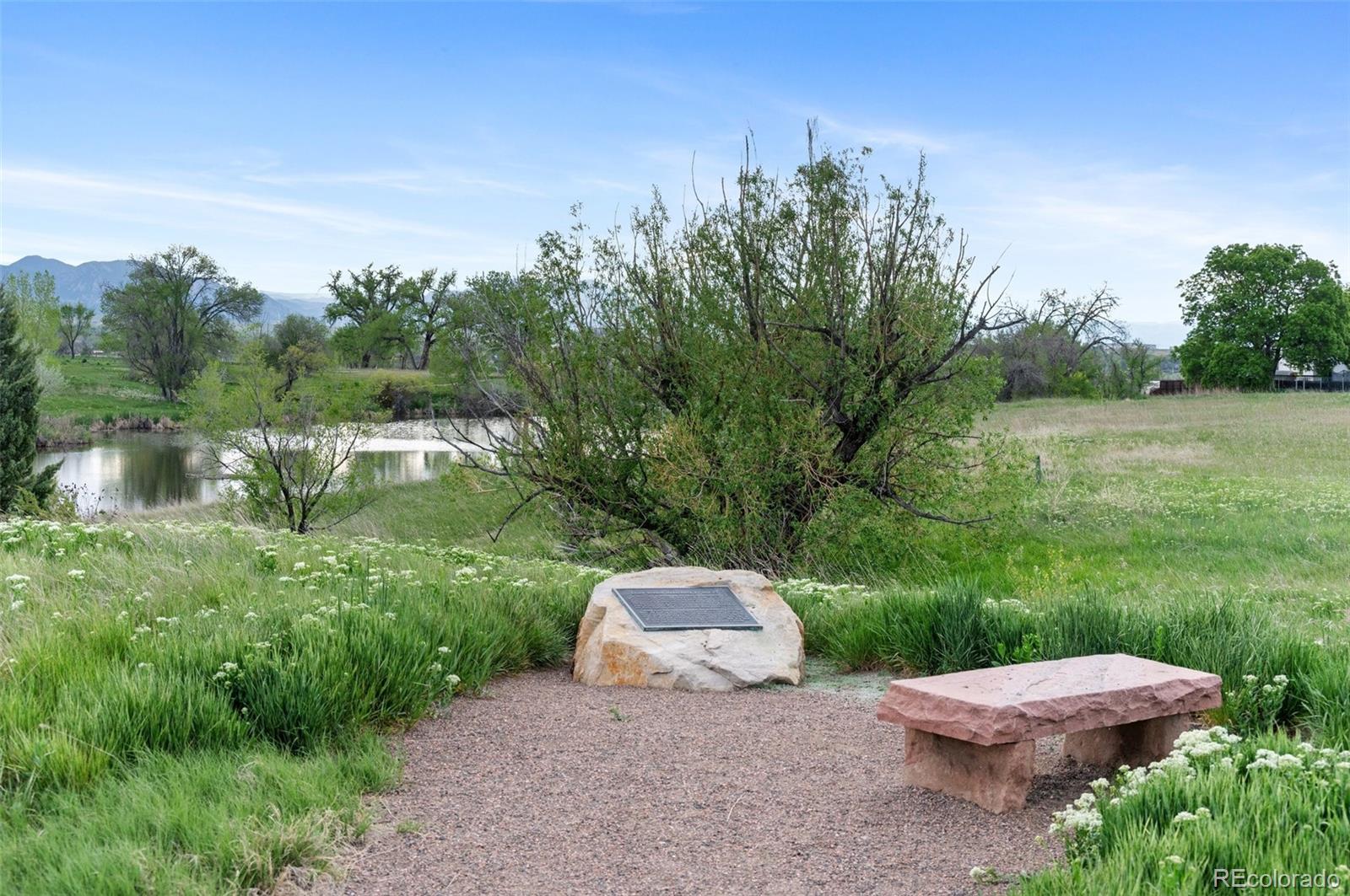 MLS Image #43 for 10110  benton street,westminster, Colorado