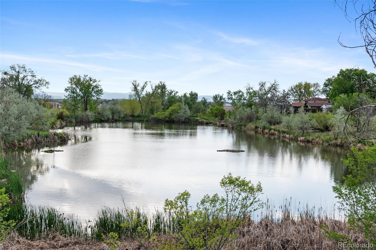 MLS Image #46 for 10110  benton street,westminster, Colorado