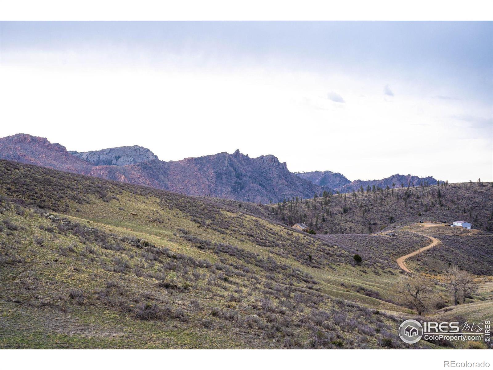 MLS Image #4 for 1413  hewlett gulch road,livermore, Colorado